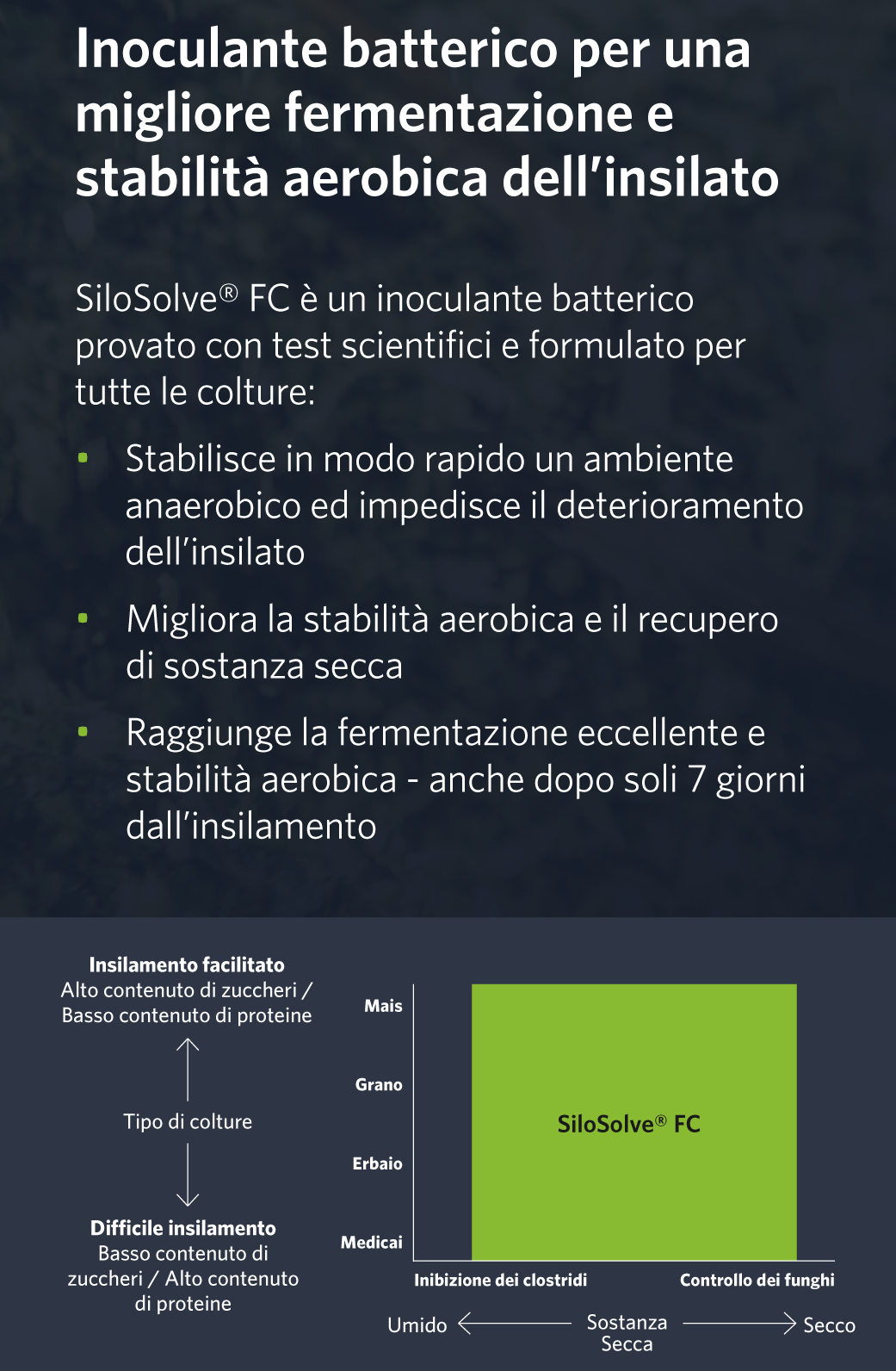 Schema silosolve FC